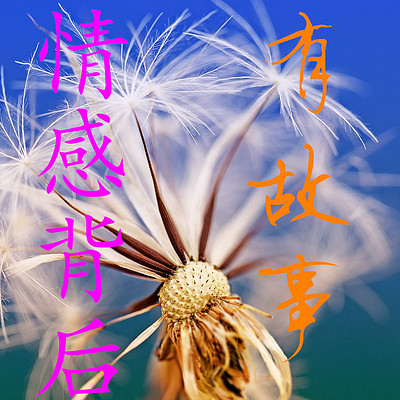 你想驾驭感情，必须知道事情的原理