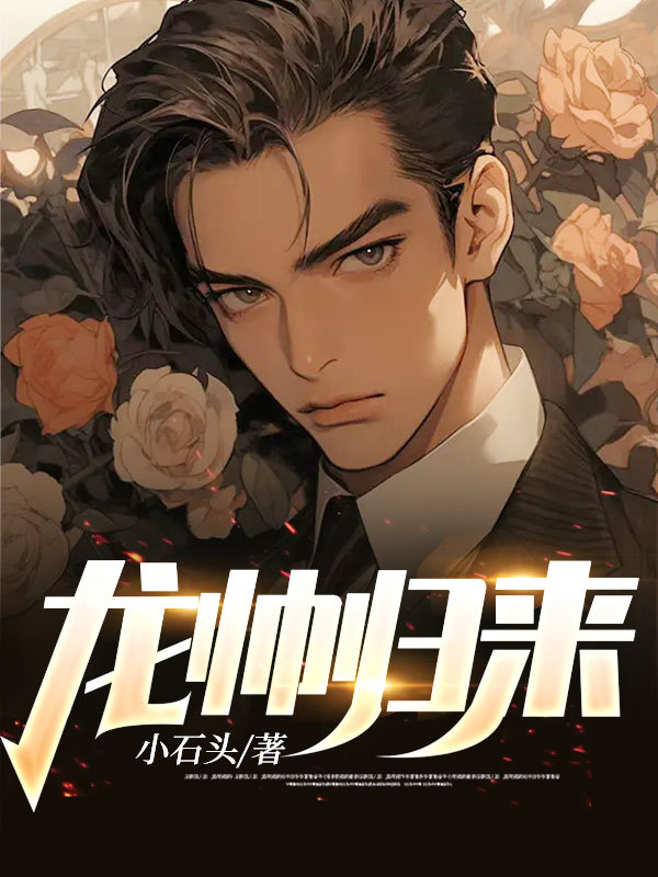 龙帅归来