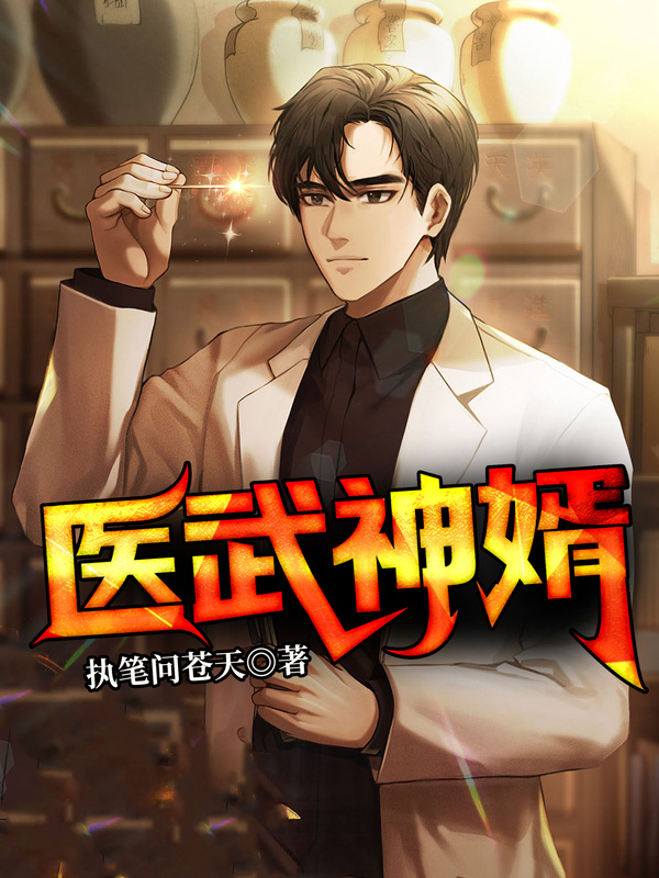 医武神婿