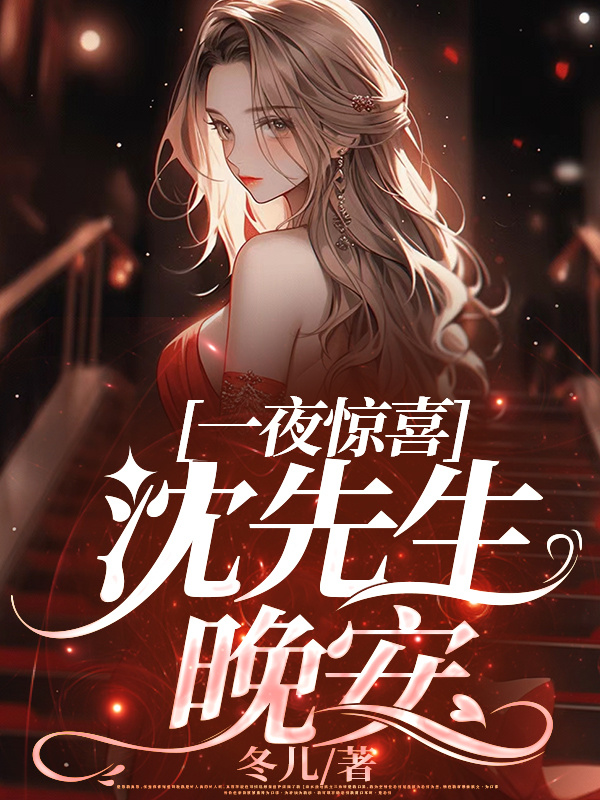 一夜惊喜：沈先生，晚安