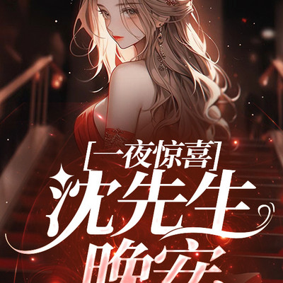 一夜惊喜:沈先生,晚安 一夜惊喜:沈先生,晚安