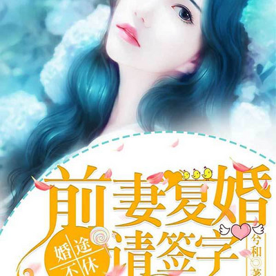 婚途不休：前妻复婚请签字