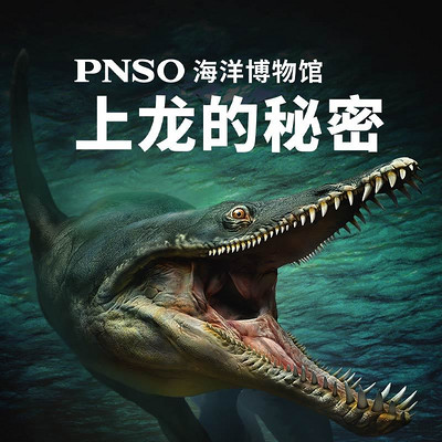 PNSO海洋博物馆:上龙的秘密 PNSO海洋博物馆:上龙的秘密