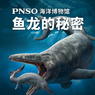 PNSO海洋博物馆:鱼龙的秘密 PNSO海洋博物馆:鱼龙的秘密