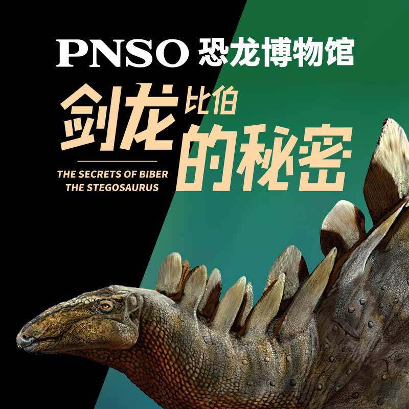 PNSO恐龙博物馆：剑龙比伯的秘密