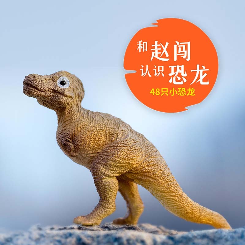 和赵闯认识恐龙-48只小恐龙|恐龙|科普