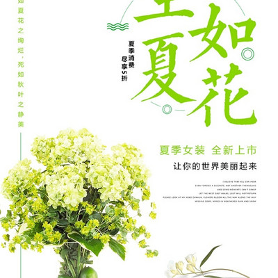 《生如夏花》 《生如夏花》