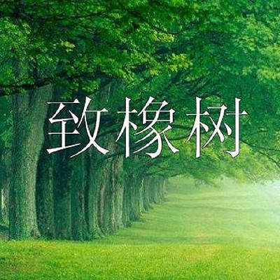 《致橡树》 《致橡树》