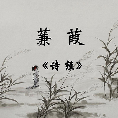 《秦风·蒹葭》 《秦风·蒹葭》