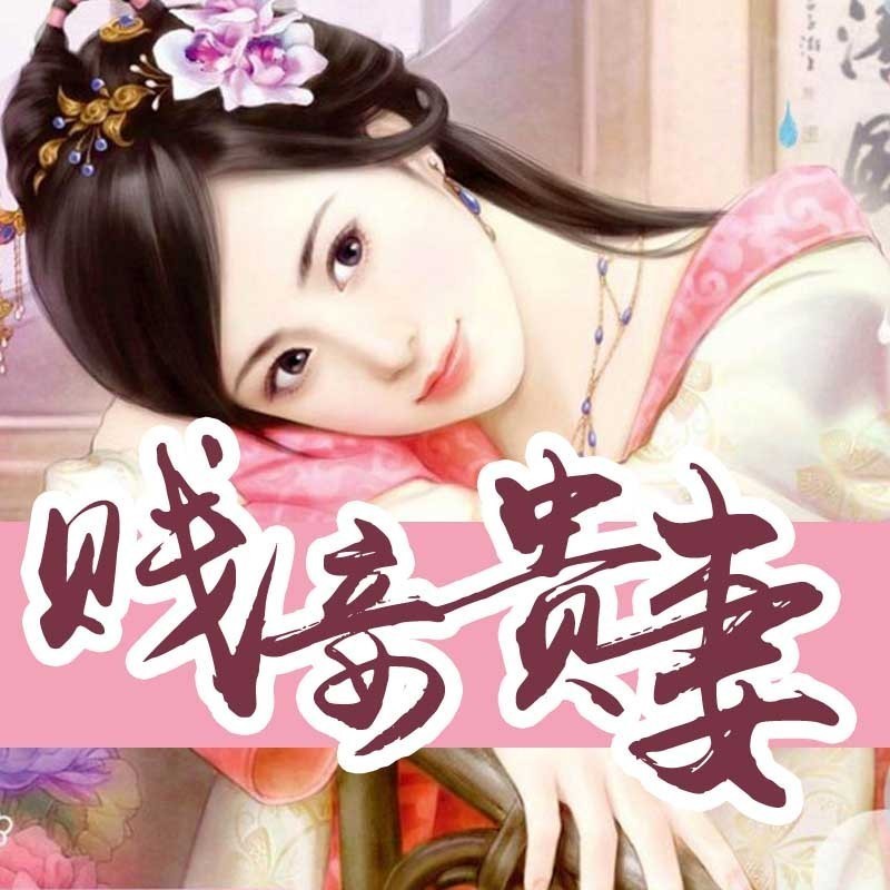 贱妾贵妻