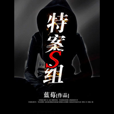 特案S组 特案S组