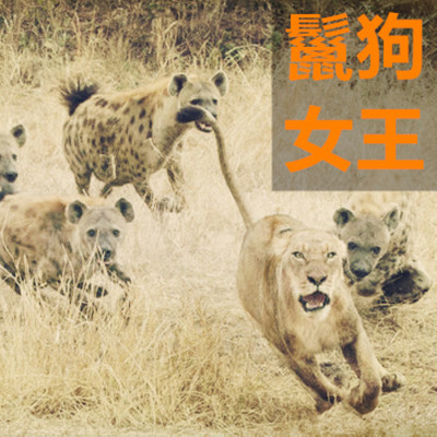 鬣狗女王 鬣狗女王