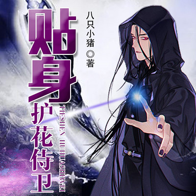 贴身护花侍卫 贴身护花侍卫