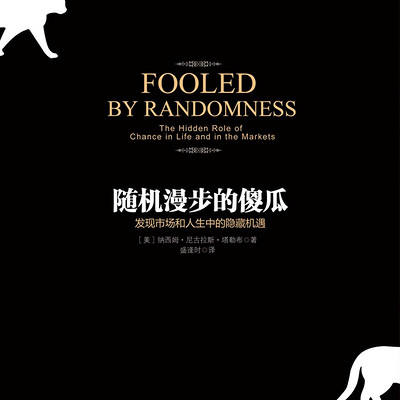 随机漫步的傻瓜