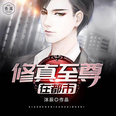 修真至尊在都市 修真至尊在都市