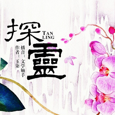 探灵 探灵
