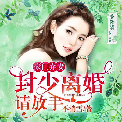 豪门弃妻:封少离婚请放手 豪门弃妻:封少离婚请放手