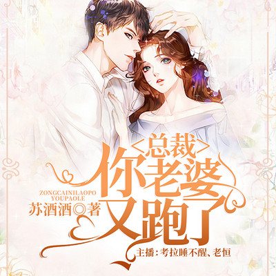 总裁，你老婆又跑了|现言宠文
