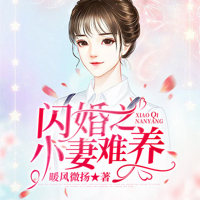 闪婚之小妻难养