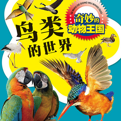 奇妙的动物王国 鸟类的世界 奇妙的动物王国 鸟类的世界