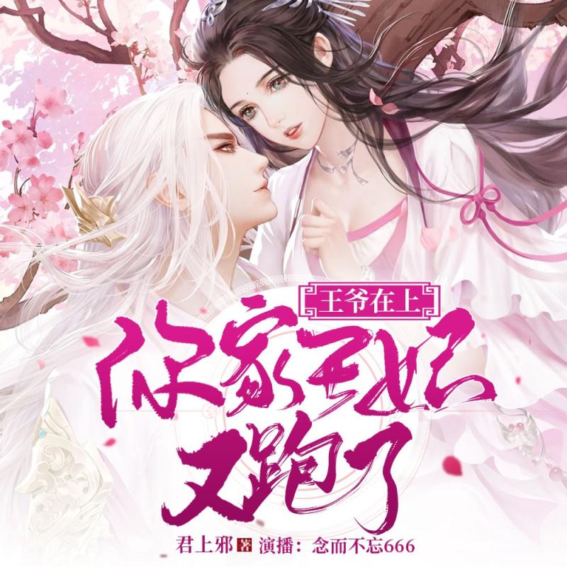 王爷在上：你家王妃又跑了