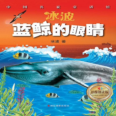 蓝鲸的眼睛 蓝鲸的眼睛