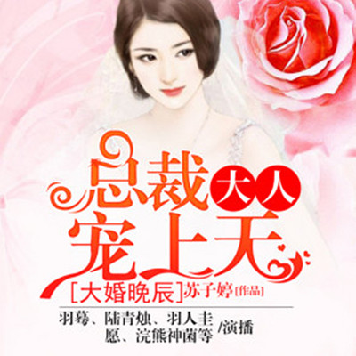 大婚晚辰:总裁大人宠上天 大婚晚辰:总裁大人宠上天