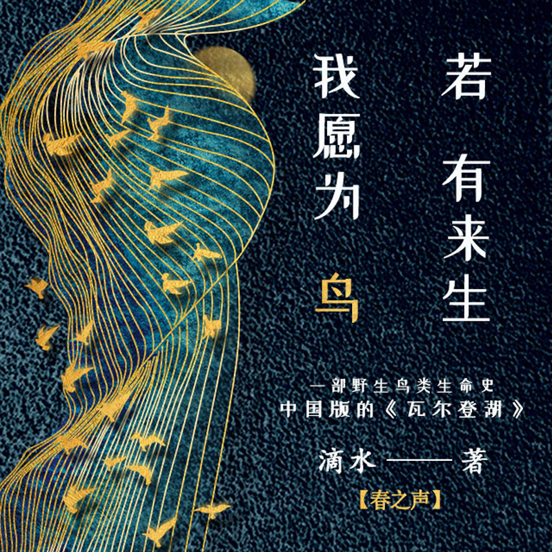 若有来生，我愿为鸟【春之声】
