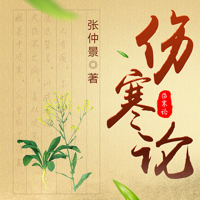 伤寒论|张仲景中医经方|防病抗病养生 伤寒论|张仲景中医经方|防病抗病养生