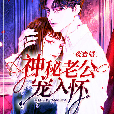 一夜蜜婚:神秘老公宠入怀 一夜蜜婚:神秘老公宠入怀
