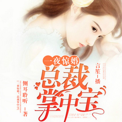 一夜惊婚:总裁掌中宝 一夜惊婚:总裁掌中宝
