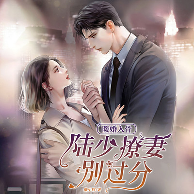 暖婚入骨:陆少,撩妻别过分 暖婚入骨:陆少,撩妻别过分