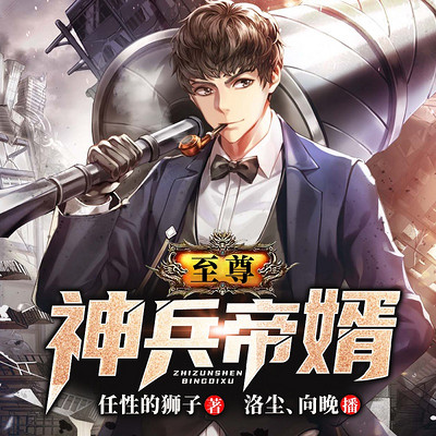 至尊神兵帝婿 至尊神兵帝婿