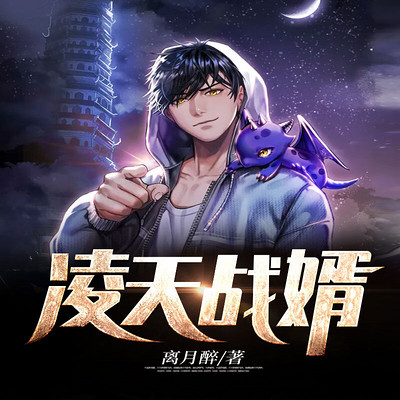 凌天战婿 凌天战婿