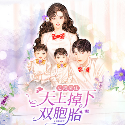 总裁接住,天上掉下双胞胎 总裁接住,天上掉下双胞胎