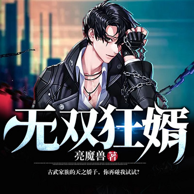 无双狂婿 无双狂婿