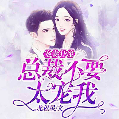 宠妻狂魔:总裁不要太宠我(甜宠追妻) 宠妻狂魔:总裁不要太宠我(甜宠追妻)