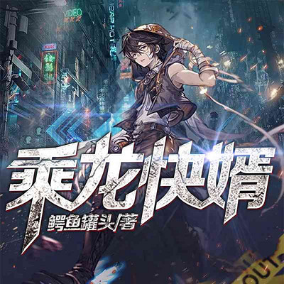 乘龙快婿(都市赘婿) 乘龙快婿(都市赘婿)