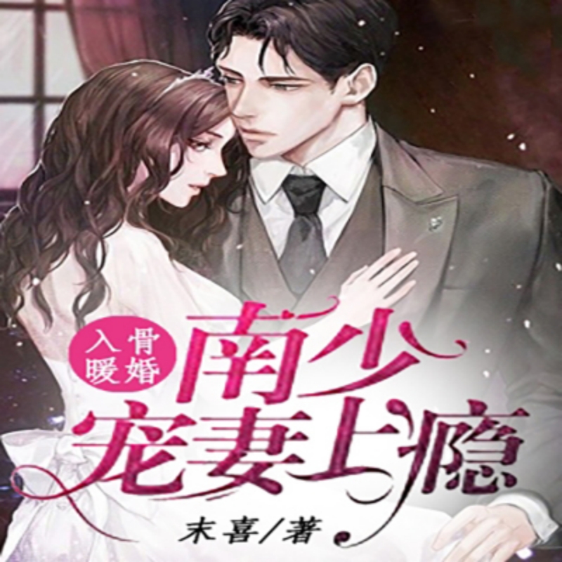 入骨暖婚：南少宠妻上瘾