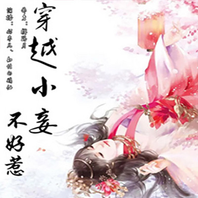 穿越小妾不好惹 穿越小妾不好惹