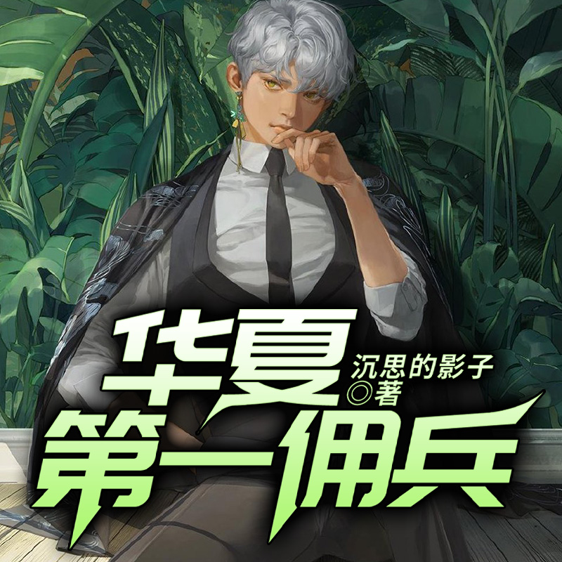 华夏第一佣兵